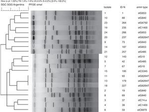PFGE profiles of invasive Streptococcus dysgalactiae subsp. equisimilis (n=21). The strains were digested with the restriction enzyme SmaI.