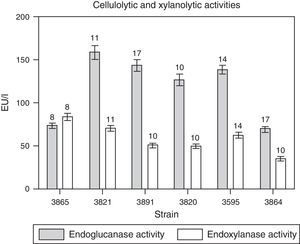 Time courses for the production of endoglucanase and endoxylanase activities by M. phaseolina isolates from different regions in Argentina, in minimum salt medium supplemented with carboxymethylcellulose (for cellulases) or xylan (for xylanases) as carbon sources and glutamic acid as nitrogen source. The numbers over the bars indicate the day when the highest value was obtained. Values represent the mean of three replicates and SEM.
