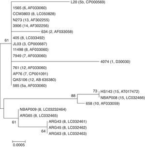 Neighbor-joining phylogenetic tree based on the partial nucleotide sequences of 16S rRNA gene of 23 A. pleuropneumoniae strains (serovars and accession numbers are given in brackets). The tree was constructed by using MEGA version 6. Bootstrap values of 500 simulations are shown at the branches. The field strains mentioned in the present study are shown in bold. The bar with a number indicates genetic distance.