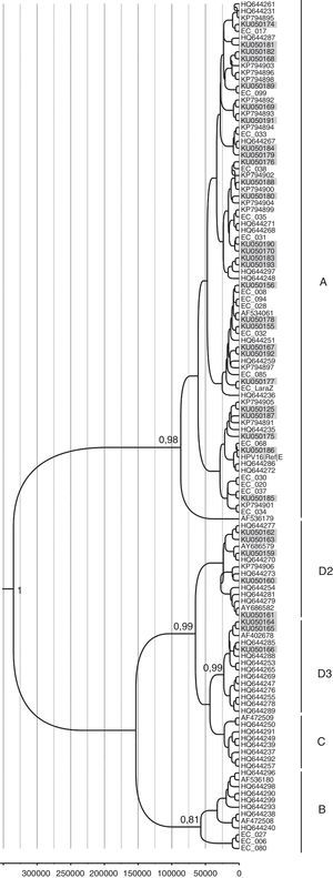Phylogenetic analysis and molecular dating of HPV-16 variants from this study. The evolutionary history of HPV-16 variants was inferred using the Bayesian method. The maximum clade credibility tree is shown. Timeline: the X axis indicates years ago. The posterior probability values (p=0.89) are shown next to the branches.