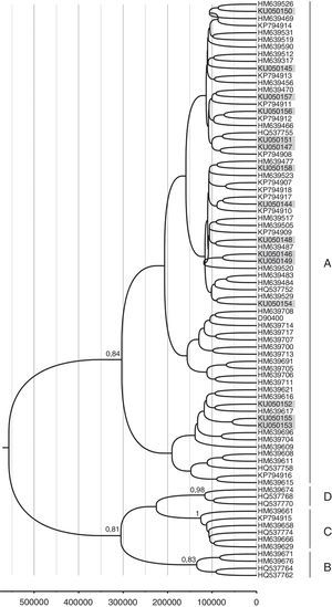 Phylogenetic analysis and molecular dating of HPV-58 variants from this study. The evolutionary history of HPV-58 variants was inferred using the Bayesian method. The maximum clade credibility tree is shown. Timeline: the X axis indicates years ago. The posterior probability values (p=0.89) are shown next to the branches.