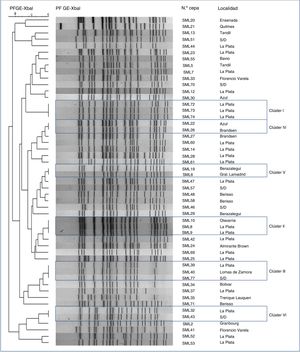 Dedrograma de la relación genética entre 51 cepas E. coli O157:H7 estudiadas por Xbal-PFGE, con número de cepa y localidad.