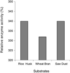 Comparison of enzyme activity of yeast isolate grown in salt medium containing 1% of substrate.