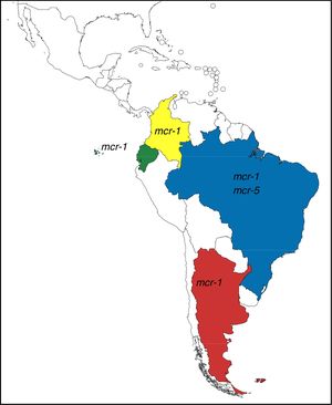 mcr distribution in Latin America.