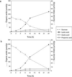 Sucrose consumption and acid organics production in soybean paste fermented by L. rhamnosus CRL 981 during 24h. (a) Soybean paste. (b) Soybean paste added 1% sucrose.
