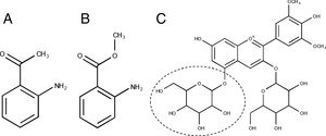 Chemical compounds in Vitis spp. 2-aminoacetophenone (A) and methyl anthranilate (B) are related to the perception of foxiness in V. labrusca L. wines. Malvidin 3,5-diglucoside (C) is exclusive to wines from V. non-vinifera. The glucoside in position 5 is indicated with a circle.