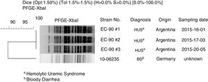 Clonal relation between Stx-EAEC O59:NM[H19] strains isolated in Germany and Argentina by XbaI-PFGE.