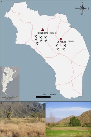 (a) Location of the sampling sites in the Province of La Rioja (Argentina) where birds were captured during spring 2013 and fall 2014. (b) Site I – La Rioja (29°26′22.55″S; 66°54′29.05″W; 620m.a.s.l.). (c) Site II – Chilecito (29°11′15.12″S; 67°28′45.06″W; 1028m.a.s.l.).