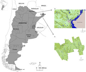 Geographic location of Argentina and the provinces analyzed. Distribution of hookworms (Ancylostoma duodenale/Necator americanus) in relation to the land use/cover classes of the study area in Formosa (a) and Misiones (b). Figure 1a shows the Clorinda city and surroundings (Formosa province), including Asunción del Paraguay city (Paraguay), using an unsupervised classification of Landsat 8 OLI image, and Figure 1b shows the Cainguás Department (Misiones province) using an unsupervised classification of Landsat 5 TM image. The land use/cover classes were: water (blue), arboreal-shrubby vegetation (dark green), vegetation of agropastoral use (light green) and urban area (gray). Note the presence of hookworms as black dots.