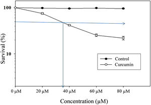 Cytotoxic effect of curcumin on L. major promastigotes. Exponentially growing promastigotes were cultured in 96-well plates and treated at the indicated concentrations of curcumin for 48h. Cell death was analyzed using the MTT assay. The arrows indicate LC50. Error bars represent standard deviations of at least three different experiments.