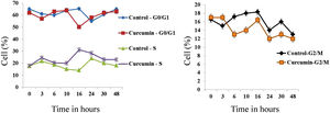 Curcumin inhibits the proliferation of L. major promastigotes by delaying cell cycle at S phase.