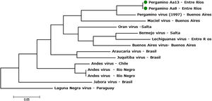 Molecular phylogenetic analysis by Maximum Likelihood method. Phylogenetic analysis of hantaviruses based on 853bp of S-segment genome of Andes virus, and other orthohantaviruses characterized previously. Taxa in the branches of the tree indicate virus name and province of origin. GenBank accession numbers and reservoir rodent specie were: AF482717, Pergamino (Akodon azarae); AF482716, Maciel (Necromys benefactus); AF482715, Orán (Oligoryzomys chacoensis); AF482713, Bermejo (Oligoryzomys occidentalis); AF482714, Lechiguanas (Oligoryzomysflavescens and O. nigripes); AF482711, Buenos Aires (undescribed); AY740624, Araucaria (O. nigripes); KC422346, Juquitiba (O. nigripes); AF291702, AF004660 and AF324902 Andes (Oligoryzomys longicaudatus; HM582091, Jaborá (Akodon montensis) and NC038505 Laguna Negra (Calomys laucha). The model selection retained GTR+G+I as the best model that shows the lowest Akaike (6384.96) and BIC (6645.48) values.