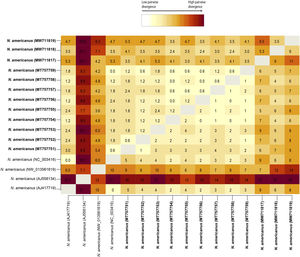 Heat-map distance matrix showing percentage (above diagonal) and number (below diagonal) of base differences per site based on pairwise comparison of the partial fragment of the cob gene among the sequences obtained in this study, and 4 sequences of available at the GenBank database. There was a total of 169 positions in the final dataset. Sequences obtained in the present study are in bold.