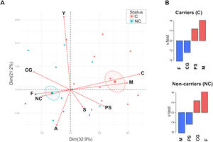Multiple correspondence analysis. (A) Biplot graphic was generated by using FactoMineR and factoextra in RStudio. Variables analyzed are indicated by arrows; C=carrier, NC=non-carrier, M=male, F=female, Y=young, A=adult, S=senior, PS=psoriasis patients and CG=control group. Confidence ellipses were drawn around the mean of the carriage variable (p<0.05). (B) Variable correlation was analyzed with the catdes function; down and over expressed variables (blue and red bar, respectively) were depicted for carriers and non-carrier groups.