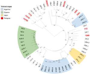 Phylogenetic tree obtained by mapping our E. coli O157:H7 strains and others collected worldwide against reference.