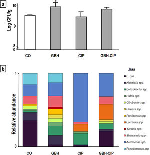 Comparison of enteric bacteria identified in samples treated with a glyphosate-based herbicide (GBH), ciprofloxacin (CIP) and their 50:50% mixture (GBH-CIP), with respect to control (CO). (a) Histogram of the plate count of colony-forming units (CFUs)/g of intestine, *significantly different from CO (Dunn post-hoc test p<0.05). (b) Variation in taxa relative abundance in each treatment (cumulative frequencies of each genus over the total CFUs of each treatment, n=60).