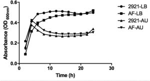 Growth curves of Pr2921 P. mirabilis wild-type strain and flagellate mutant AF in LB broth (LB) and artificial urine (AU). Growth curves were generated by serial OD measures of grown bacteria.