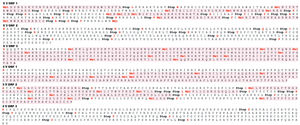 Representación gráfica de seis orientaciones distintas de conjuntos de marcos de lectura abierta (ORF) de la secuencia homóloga de Xylaria sp. que transcribe enzimas nitrilasas (traducida a aminoácidos). Los fragmentos de secuencias de codones resaltadas en color claro representan los ORF para cada orientación. La palabra Stop representa un codón de parada. Los residuos marcados en rojo refieren sitios activos, tríadas catalíticas e interfaces de dimerización.