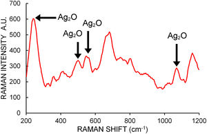 Raman spectrum of a dried drop of AgNPs colloidal suspension synthesized by T. albida strain 2. Arrows indicate the characteristic Raman peaks of Ag2O.