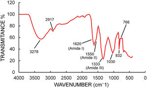 FTIR-ATR spectra of freeze-dried samples of AgNPs synthesized by T. albida strain 2.
