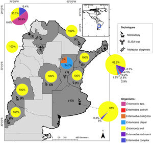 Geographical distribution of Entamoeba spp. detected by studies performed in Argentina in the last three decades. Pie charts represent the proportion in which each Entamoeba species was detected. The number of studies that examined the prevalence of amebae in each province of Argentina is shown in brackets. Techniques performed for diagnosis are also represented. The map was drawn up based on Supplementary Table 1. Maps were performed using QGIS version 3.12 (Quantum GIS Development Team, 2020).