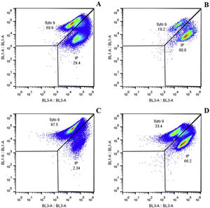 Viability of L. reuteri DSPV002C in macrocapsules and in free culture against simulated gastrointestinal conditions. Representative dot plot graphs showing the percentages of live and dead cells, in capsules and free culture, against simulated gastrointestinal conditions for 6h. BL1 (live bacteria stained with Syto9) vs. BL3 (dead bacteria stained with IP). (A) Macrocapsule 0h. (B) Macrocapsule 6h. (C) Free culture 0h. (D) Free culture 6h.
