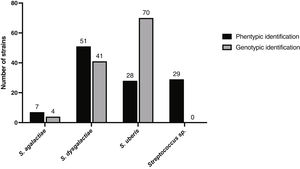 Phenotypic and genotypic determination of Streptococcus species for each strain.
