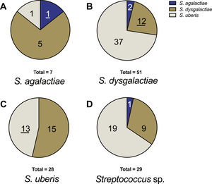 Distribution of genotypic identification for each species in relation to their phenotypic identification. (A) Strains phenotypically identified as S. agalactiae. (B) Strains phenotypically identified as S. dysgalactiae. (C) Strains phenotypically identified as S. uberis. (D) Strains phenotypically identified as Streptococcus sp. The underlined numbers represent the strains that matched in both identification methods.
