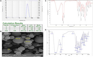 Physicochemical characterization of prepared carvacrol–niosomes. (A) Particle size distribution of carvacrol–niosomes by DLS analysis; (B) morphological structure and size of niosome preparations by SEM (magnification of 400×); (C) FTIR spectra of carvacrol–niosomes; (D) FTIR spectra of carvacrol alone.