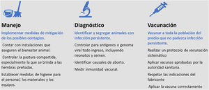 Resumen de la estrategia implementada para controlar la circulación del BVDV. Se establecieron pautas que combinan medidas de mitigación, diagnóstico y vacunación. La identificación y segregación de animales persistentemente infectados (PI) y la aplicación de la vacunación sistemática de toda la población no PI constituye la base de la estrategia.