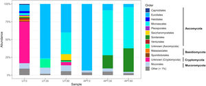 Fungal abundance at order level observed in the microcosms containing sludge untreated (UT) and treated with ammonium persulfate (APT) at 0, 30 and 60 days of their incubation. The acronym “Others” corresponds to percentage (relative) abundances lower than 1%.