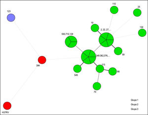 The minimum spanning tree (MST) showed than 79% (19) of the strains are related.