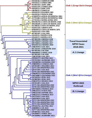 Maximum likelihood phylogenetic tree constructed using MPXV sequences obtained from crust samples from individuals with confirmed MPXV infection from Córdoba, Argentina, and reference sequences from each clade available in GenBank. The phylogenetic tree was constructed with IQ-TREE web server (ultrafast bootstrap values: 10000 replicates) (http://iqtree.cibiv.univie.ac.at/).