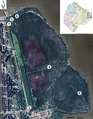 Reserva Ecológica Costanera Sur en la Ciudad Autónoma de Buenos Aires. 1. Acceso Viamonte; 2. Acceso Brasil; 3. Vivero; 4. Camino del Medio; 5. Cortafuegos; 6. Canal Viamonte Fuente: elaboración propia en base a mapas de Google Earth® y del Departamento de Cartografía, Dirección General de Estadística y Censos (Ministerio de Hacienda - GCABA).