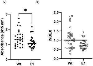 Indirect ELISA experiments. Panel A, a comparison of the response towards the wild-type RsAK or E1-mutant proteins; Panel B, a comparison of the Index value of the wild-type RsAK and E1-mutant.