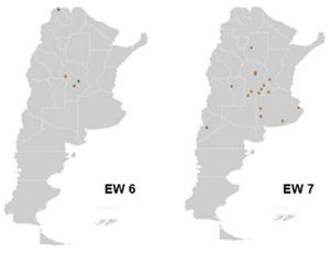 Spatial distribution of HPAI outbreaks in Argentina in epidemiological weeks six and seven.