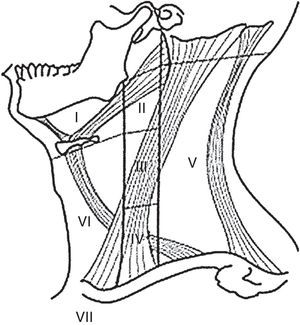 Compartimentos ganglionares del cuello.