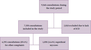 Algorithm for the study’s inclusion and exclusion criteria: record of the number of cases of superficial mycoses in the sample