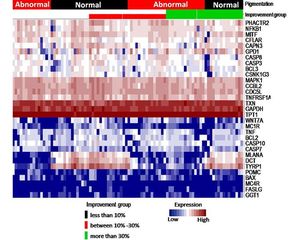 Heat map of expression patterns grouped according to vitiligo type and disease improvement. At the top of the heat map, the following study groups are represented: type and subtype of sample according to pigmentation (black and red), and improvement (black corresponding to less than 10% improvement, red corresponding to 10%-30% improvement and green corresponding to more than 30% improvement). The vertical axis represents the expression patterns of the samples obtained for each of the genes (horizontal). The red color within the heatmap corresponds to over expression, while white corresponds to intermediate expression, and blue corresponds to sub expression