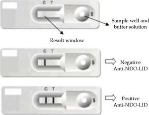 Schematic model of the anti-NDO-LID rapid test and test presentation with negative and positive results