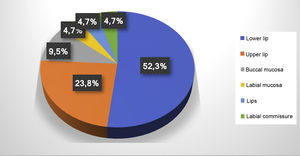 Distribution of location of the 21 oral vascular malformations.