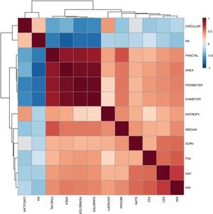 Thermal map of the correlations (Spearman) between the morphometric and apoptosis-related indicators and proliferation. All correlations resulted in p<0.05.