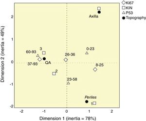 Perceptual map of the distribution of p53, Ki67, and keratinocyte intraepithelial neoplasia (KIN) according to topography.