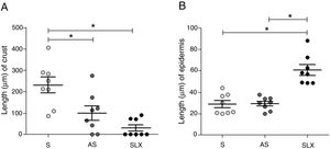 Distribution of the mean thickness (μm) of the crust and epidermis. (A) Distribution of the mean thickness (μm) of the crust and (B) distribution of the mean thickness (μm) of the epidermis of the groups treated with saline (S), antiseptic solution (AS), or latex serum (SLX) on the 10th day of the follow-up. Values represent mean±standard error of mean (SEM). ANOVA statistical test, Bonferroni post-test. *Corresponds to a significant difference (p<0.05).