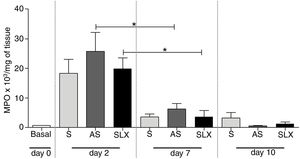 Quantification of the myeloperoxidase enzyme (MPO) of cutaneous abrasions treated topically with saline (S), antiseptic solution (AS), or latex serum (SLX) on the 2nd, 7th, and 10th days of follow-up. Values represent mean±standard error of mean (SEM). ANOVA statistical test, Bonferroni post-test. *Corresponds to a significant difference (p<0.05).