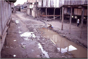 Non planned urbanization process in an indigenous village in the upper Solimões region, state of Amazonas (Kindly provided by Prof. Sinésio Talhari).