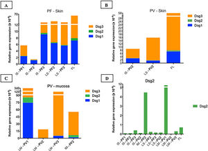 Relative gene expressions (×10-4) of Dsg1, Dsg2 and Dsg3 in skin and mucosal samples. (A), Intact skin (IS) lesional skin (LS) samples of the PF group compared to the facelift (FL) control sample showing predominance of Dsg3 expression in comparison to Dsg1 and Dsg2. (B), IS and LS samples of the PV and FL groups. The expressions of Dsg1, Dsg2 and Dsg3 were lower than in the FL sample. (C), Lesional mucosa (LM) sample of the PV group in comparison to intact mucosa (IM) sample of the PF group showing predominance of Dsg3 expression in comparison to Dsg1 and Dsg2. Dsg2 expression is increased in mucosal samples. (D), Comparison of Dsg2 expression in all PF and PV samples. Relative gene expressions of Dsg1, Dsg2, Dsg3 were calculated using 2(−ΔcT) and using 18S rRNA as the reference gene.