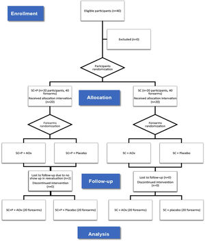 CONSORT flow diagram (ITT evaluation). SC, Regular sunscreen; SC+P, sunscreen containing photolyase; AOx, Topical antioxidant.