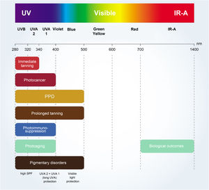 Schematic representation of the effects on the skin of different types of solar radiation. IR-A, infrared - A (780 nm-1.4 μm); PPD, persistent pigmentary darkening.