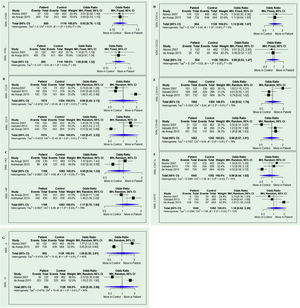 Forest plot of the meta-analysis of the comparison between mutant alleles versus wild-type alleles of the SNPs.